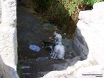 100_3349.JPG